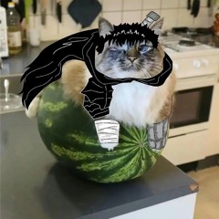 MEEEEWW