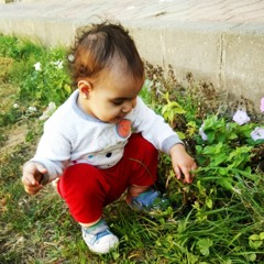 Aly saad