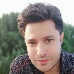 Milad Gheisari