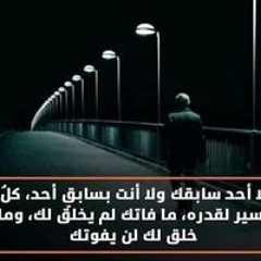 Mohammed Elsadaany