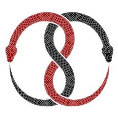 Infinity♾️frequency