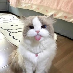 ㅤ