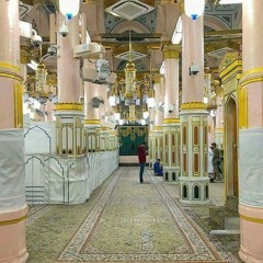 m.lotfy