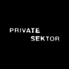 Private Sektor