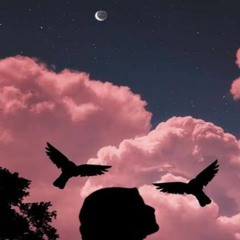 خليتني أحبك ليه - شيرين - ( 2024 ) [Official Music Video].mp3