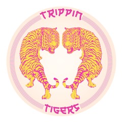 Trippin Tigers