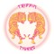 Trippin Tigers