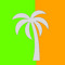 Team Florida Promo