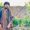 Ameer Zarak khan