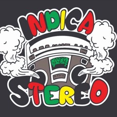 Indica Stereo