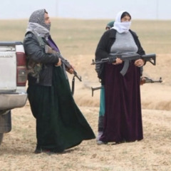 çiyayî