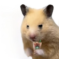 鱼与山鸟不同路,从此山水不相逢。