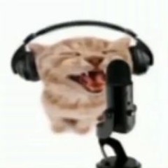 Staero