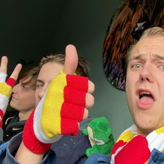 ThijsV