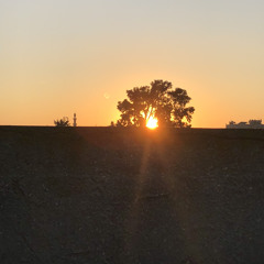 رواية