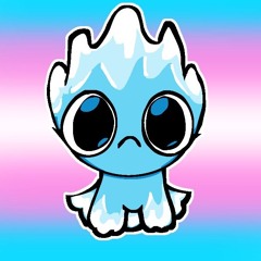 MissCofin08