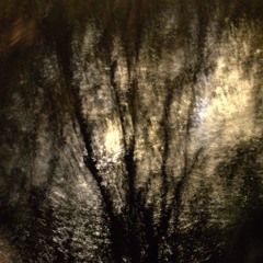 persephone