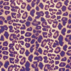 ✩✭kallynnnb✭✩