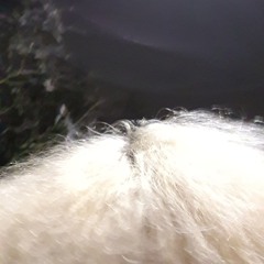 Tired from that all.