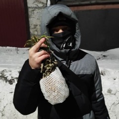 maksplugga