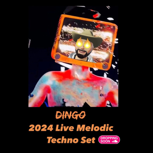 DINGO — artist photo