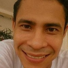 João Bermúdez