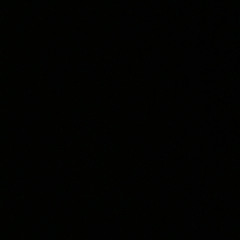 Sophie Louise Codling