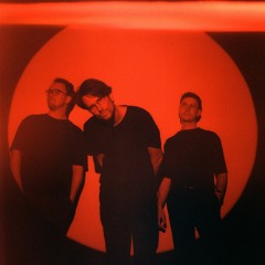 ANIMI VOX