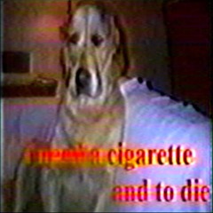 internet cyber trash