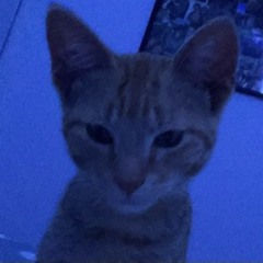 Lachlan