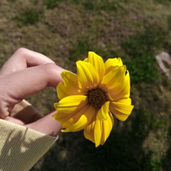 مريـم السـقا