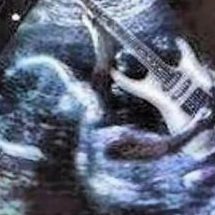 Mindset Evolution Fan