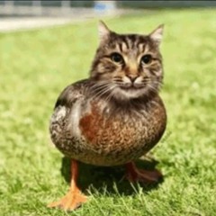 lil ballsack the 2nd