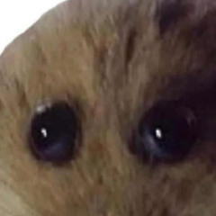 Alberto Partida Aburto