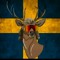 Romme12