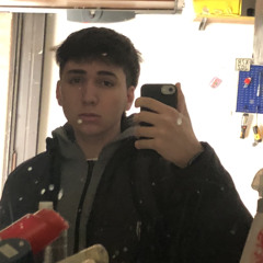 bussolino