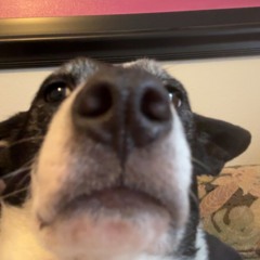 BLINKON1KAC <3 <3 <3