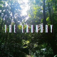 The Laundry