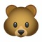 little bear 🐻