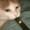 Cheesewine