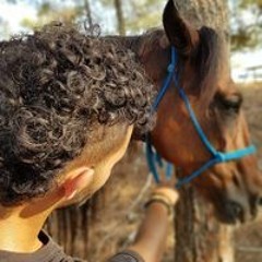 שילה עמרני