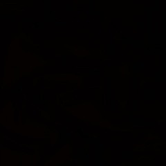 Yung Jodye Archive