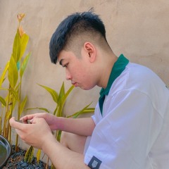 vanvu