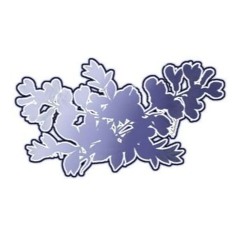 morphgesic (๑´• .̫ •ू`๑)