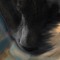 GhostCat