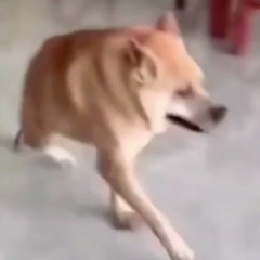 fateBR