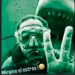 chatarra de lo lindo 🥶