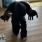 fromyourhands