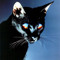 7Nightz