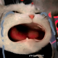 𝔠𝔞𝔭𝔲𝔠𝔥𝔧𝔫𝔬